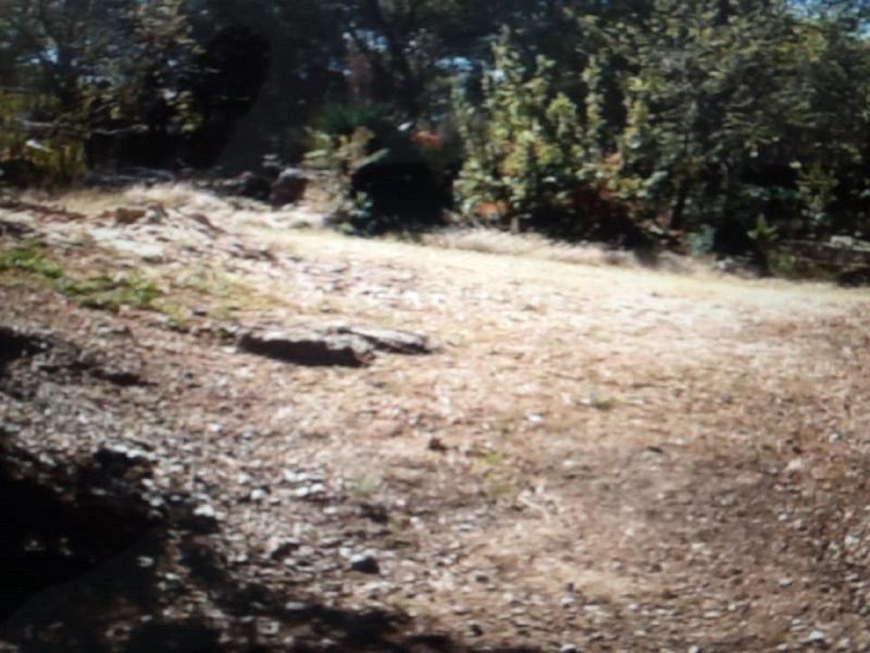 Vacant Stand at Vaaloewer - Photo 8