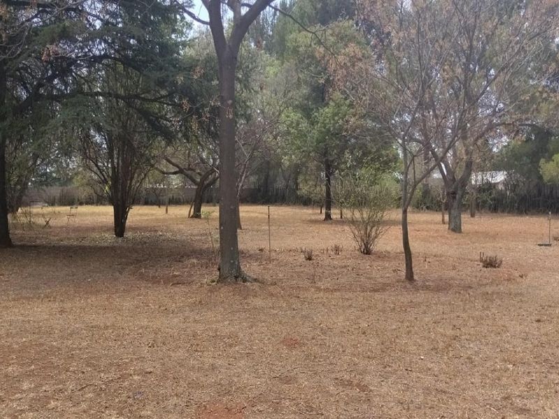 What an investment - Photo 6