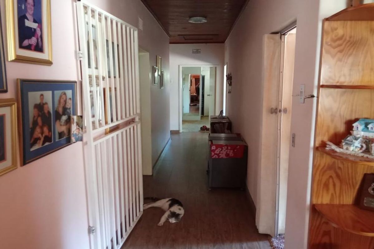 "Stunning smallholding available with business on the property." - Photo 2