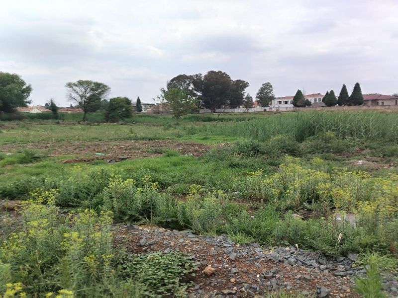 "Perfect Investment Opportunity!" - Photo 3