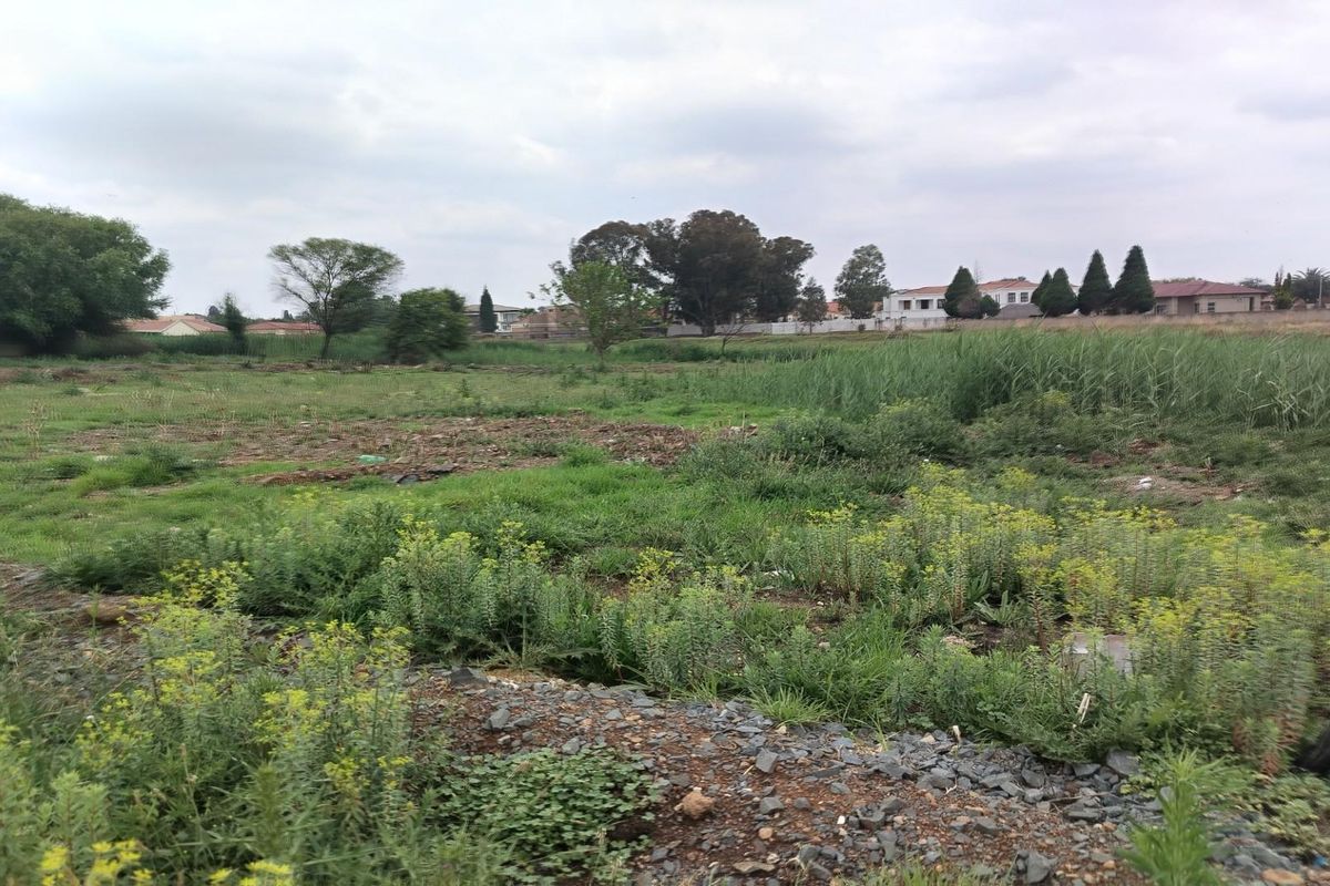 "Perfect Investment Opportunity!" - Photo 3