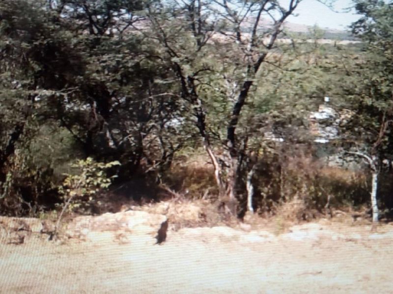 Vacant stand at Vaaloewer - Photo 10