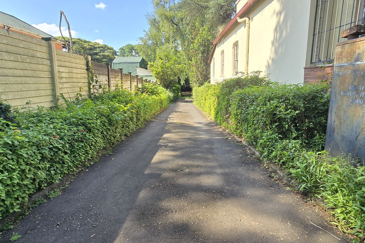 A narrow paved driveway flanked by established hedges and a boundary wall, leading towards the rear of the property.