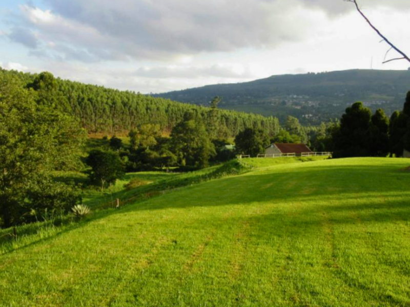 A Rare Investment Opportunity In Prestigious Ferncliffe - Photo 4