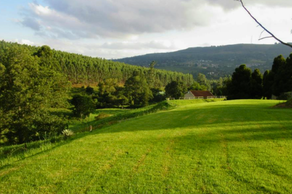 A Rare Investment Opportunity In Prestigious Ferncliffe - Photo 4