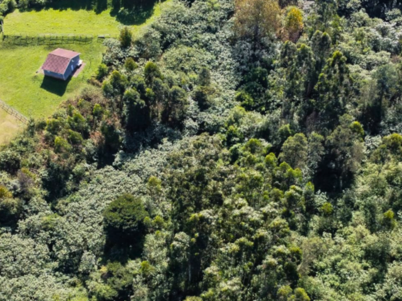 A Rare Investment Opportunity In Prestigious Ferncliffe - Photo 6