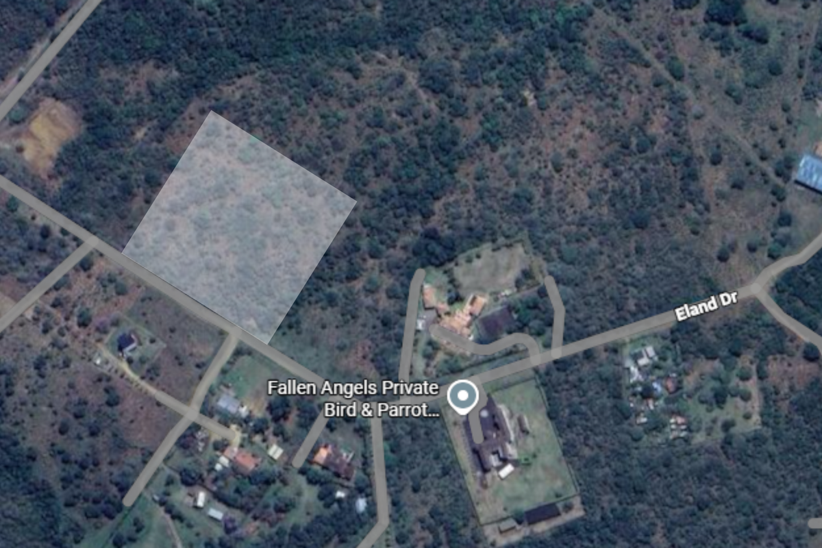 A World of Opportunity on This Prime Vacant Lot - Photo 2