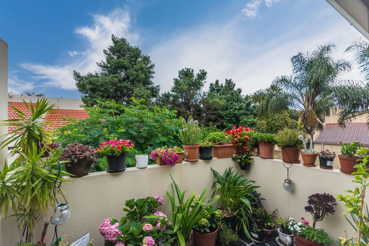 Charming 3 bedroom Apartment for Sale in Sandown, Sandton - Photo 2