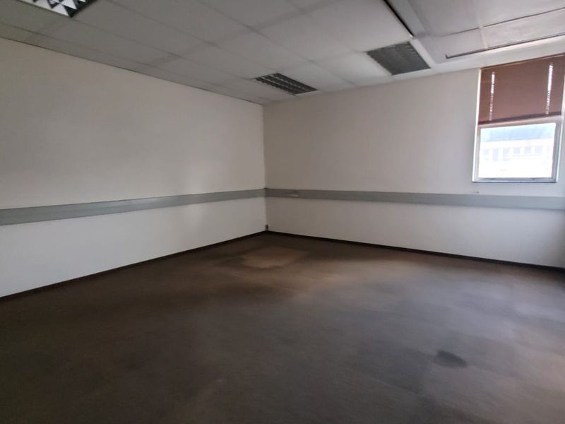 An empty office space featuring a suspended ceiling, recessed lighting, and carpet flooring, ready for customization.