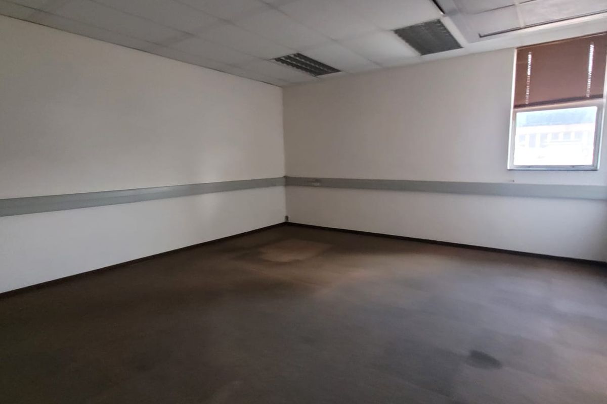 An empty office space featuring a suspended ceiling, recessed lighting, and carpet flooring, ready for customization.