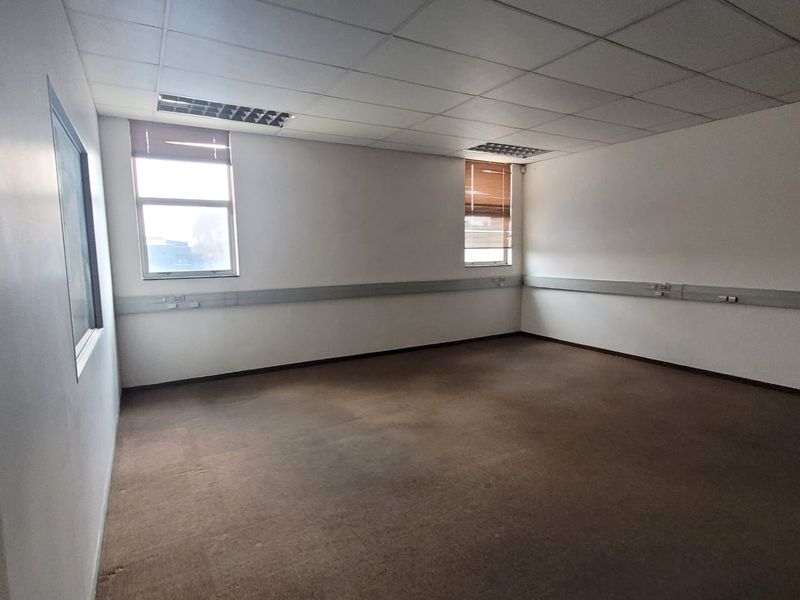 An empty office space featuring a suspended ceiling, recessed lighting, perimeter trunking for electrical services, and carpet flooring.