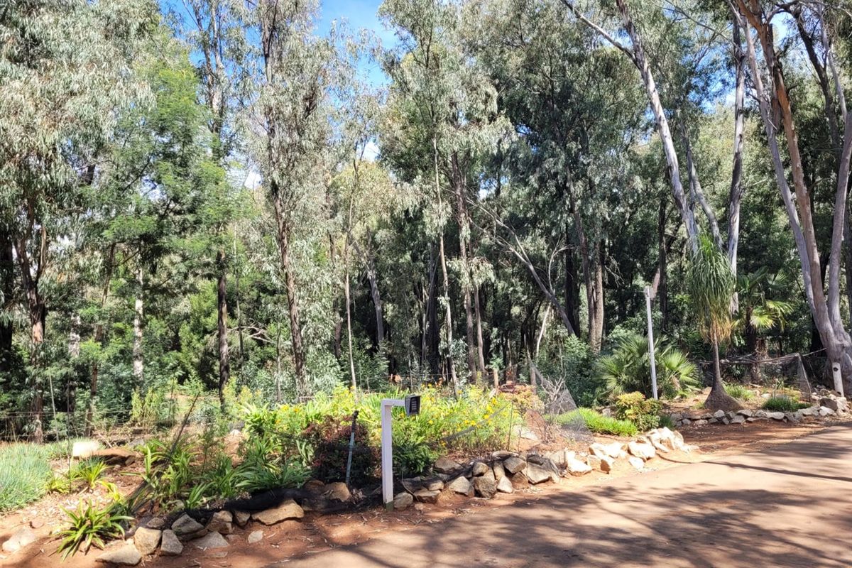 3.2 Ha Development land, Rietvallei rand - Photo 3