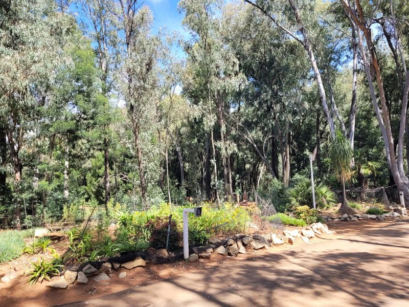 3.2 Ha Development land, Rietvallei rand - Photo 3