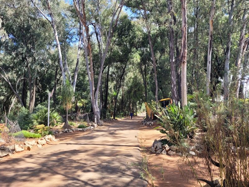 3.2 Ha Development land, Rietvallei rand - Photo 4