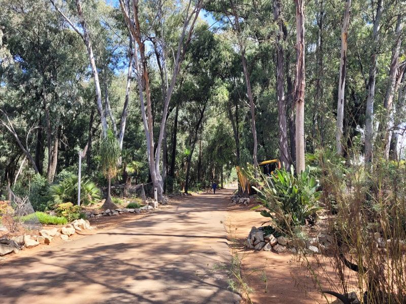 3.2 Ha Development land, Rietvallei rand - Photo 7