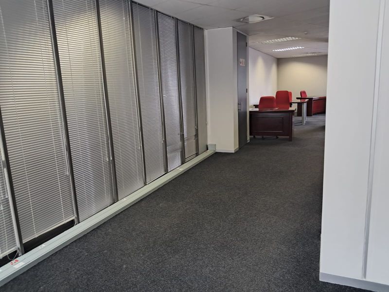 A spacious office area featuring large floor-to-ceiling windows with venetian blinds, carpeted flooring, and a suspended ceiling with recessed lighting.