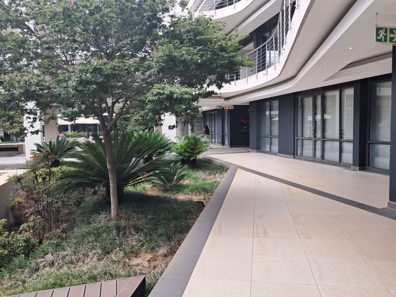 A modern office building exterior featuring a paved walkway, glass facade, and well-maintained landscaped garden area.