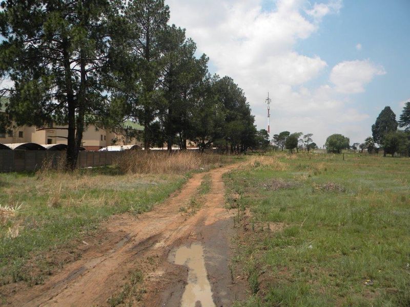 A view of a vacant residential plot featuring an unpaved access road, mature trees, and perimeter fencing with a telecommunications tower in the distance.
