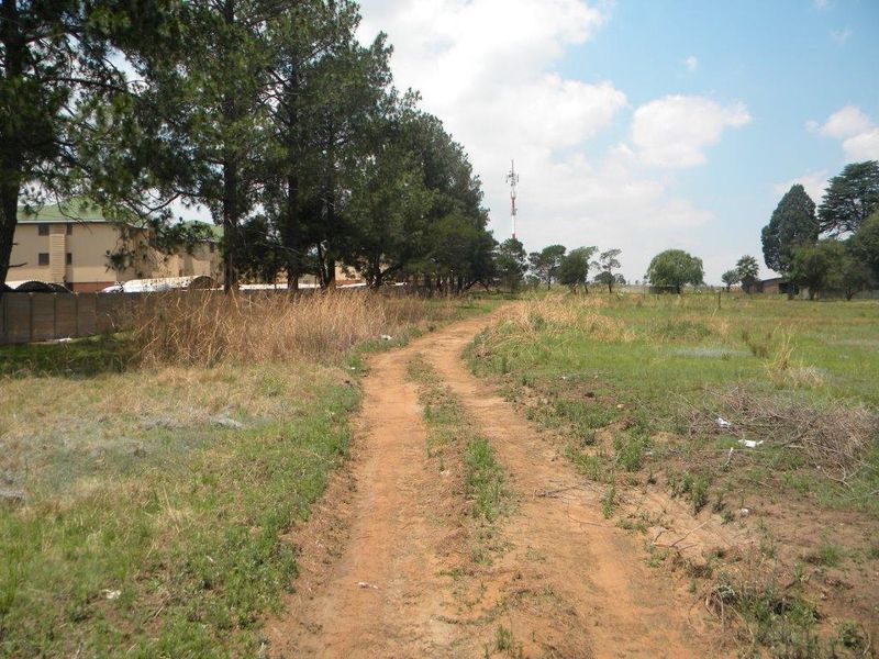 A view of a vacant residential plot featuring a dirt access road, perimeter walling, and established trees.