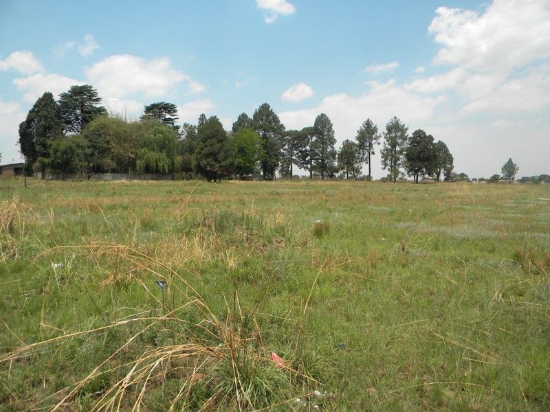 A wide-angle view of a vacant residential plot featuring open grassland and mature trees in the background.