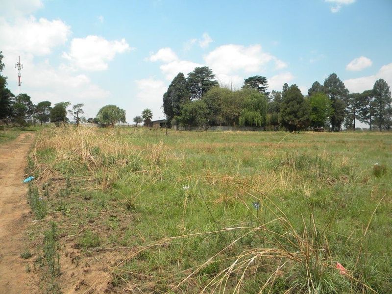 A view of a large, undeveloped residential plot featuring natural grassland, mature trees, and an unpaved access track.