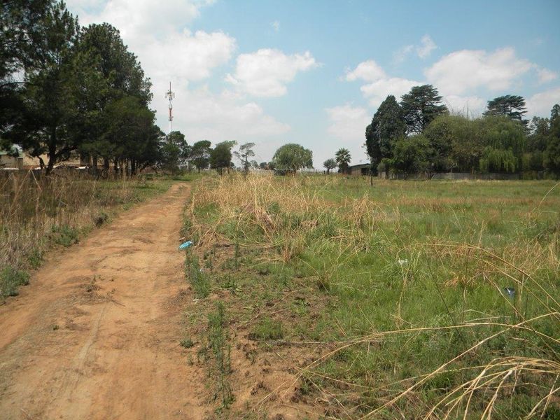 A view of a vacant residential plot featuring a dirt access path, natural grassland, and established trees.