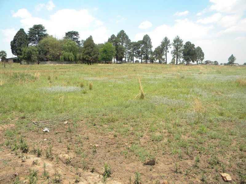 A wide-angle view of a vacant residential plot featuring natural grassland and mature trees in the background.