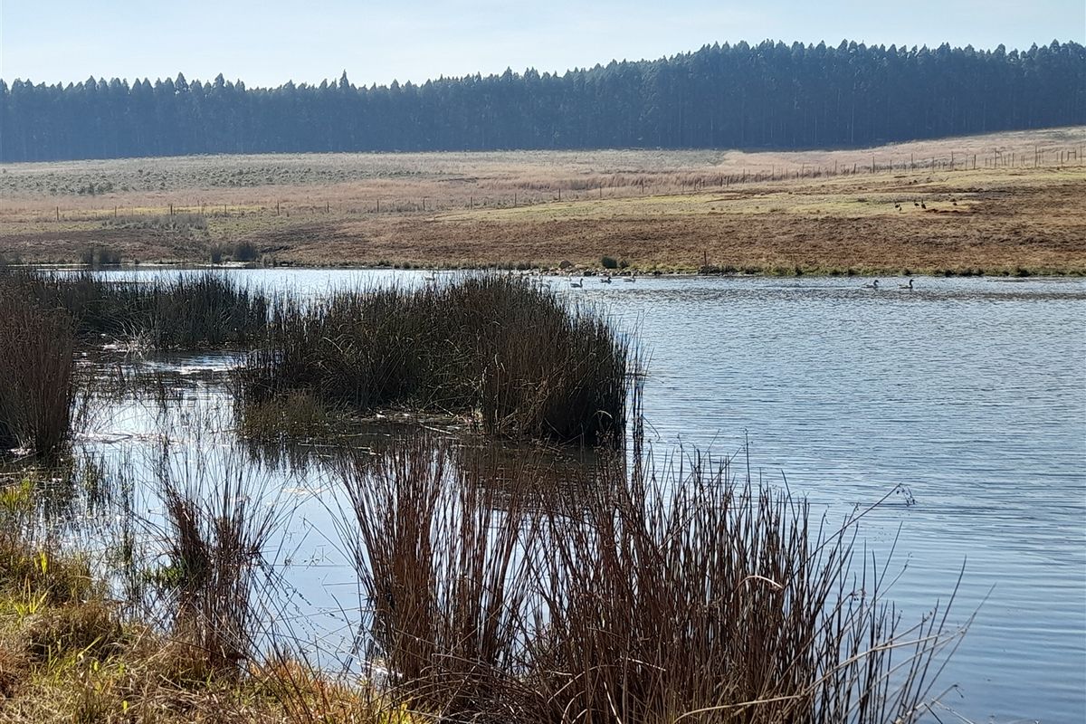 18.4414 Hectare Agricultural Land for Sale along the N2 - Photo 3