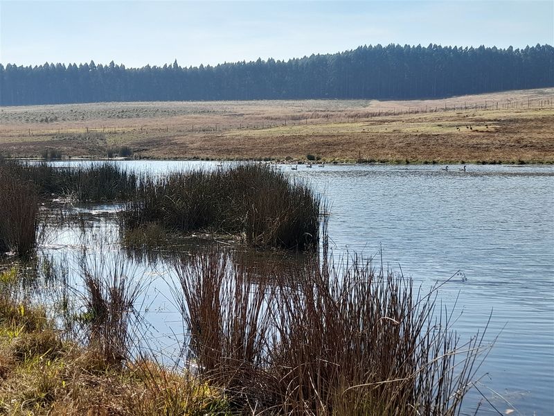 18.4414 Hectare Agricultural Land for Sale along the N2 - Photo 3