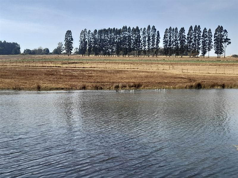 18.4414 Hectare Agricultural Land for Sale along the N2 - Photo 10