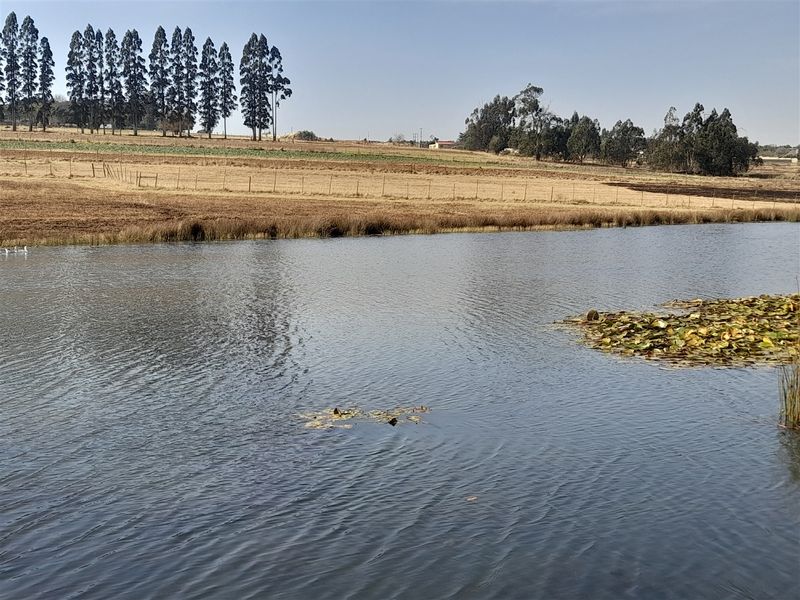 18.4414 Hectare Agricultural Land for Sale along the N2 - Photo 9