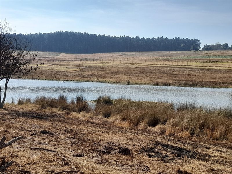 18.4414 Hectare Agricultural Land for Sale along the N2 - Photo 8