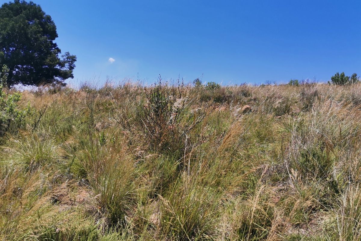 Water front Stand in Beautiful Estate - Photo 3