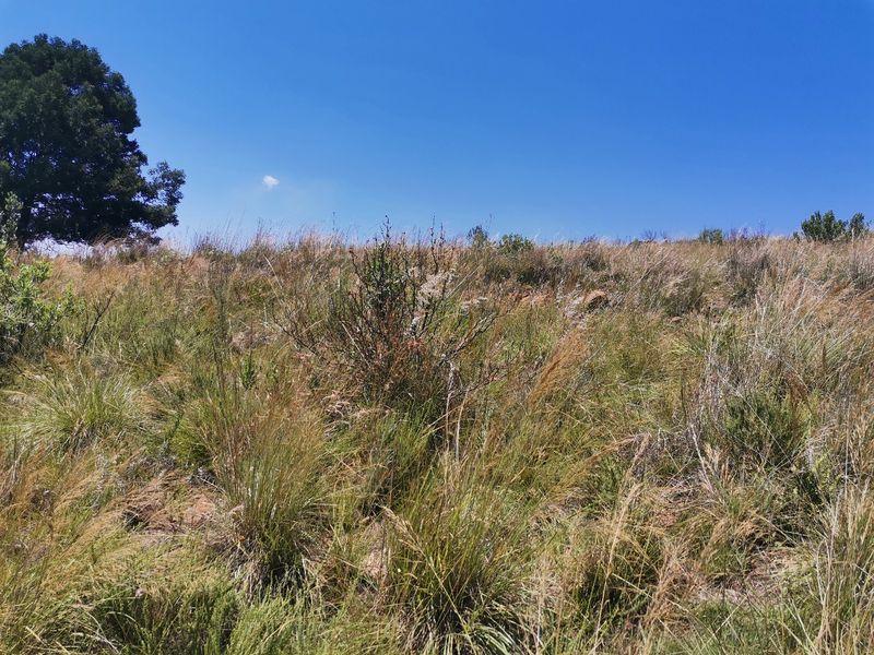 Water front Stand in Beautiful Estate - Photo 3