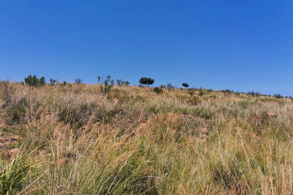 Water front Stand in Beautiful Estate - Photo 4