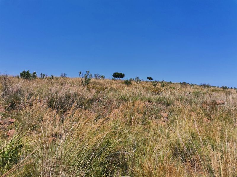 Water front Stand in Beautiful Estate - Photo 4