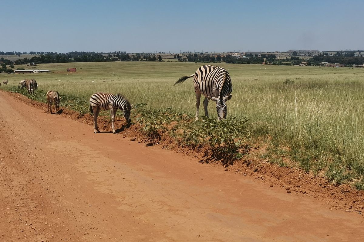 Water front Stand in Beautiful Estate - Photo 2