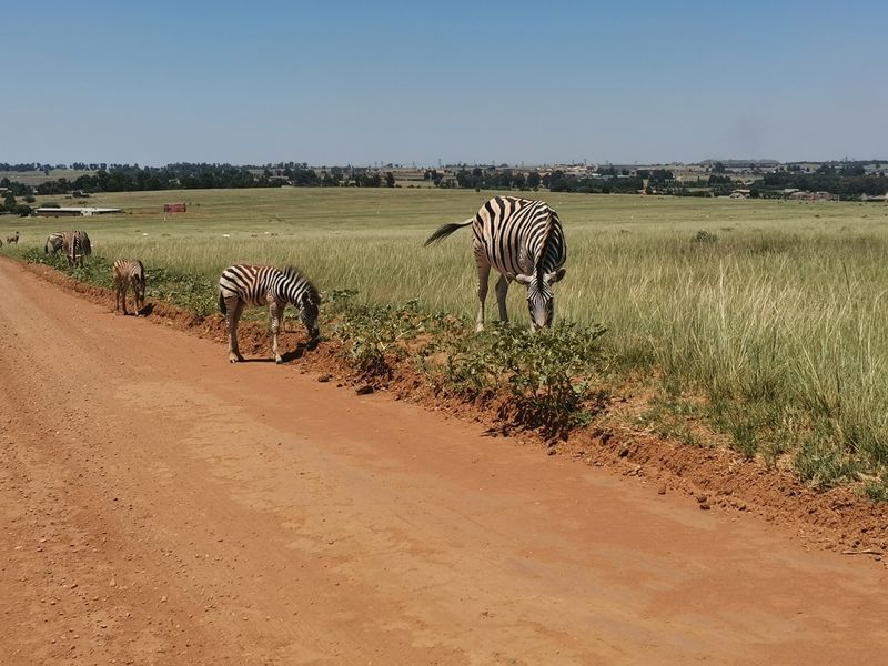 Water front Stand in Beautiful Estate - Photo 2