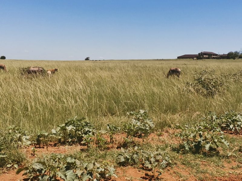 Water front Stand in Beautiful Estate - Photo 9