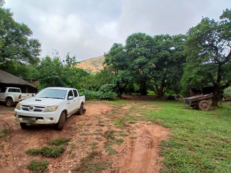 A rural farm property exterior featuring a natural landscape, mature trees, and a thatched roof structure with an unpaved access area.