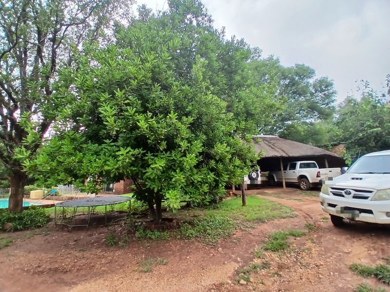 Rear exterior view of the property featuring a thatched roof carport, mature trees, and a swimming pool area.