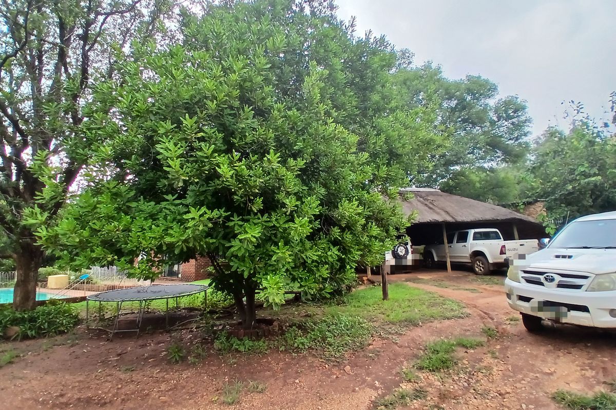Rear exterior view of the property featuring a thatched roof carport, mature trees, and a swimming pool area.