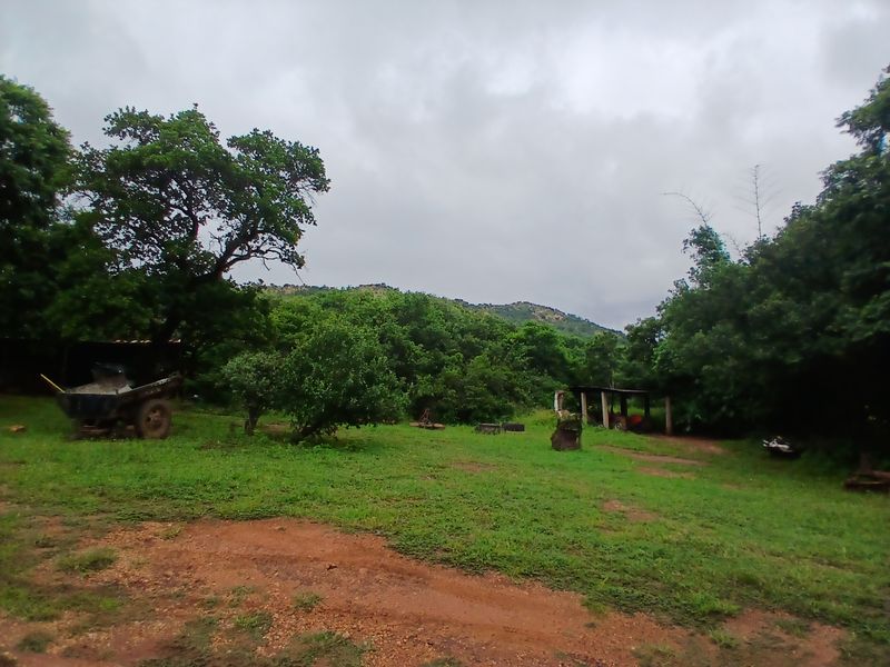A spacious, natural farm garden area featuring mature trees, open grass, and a simple open-sided storage structure set against a scenic hilly backdrop.
