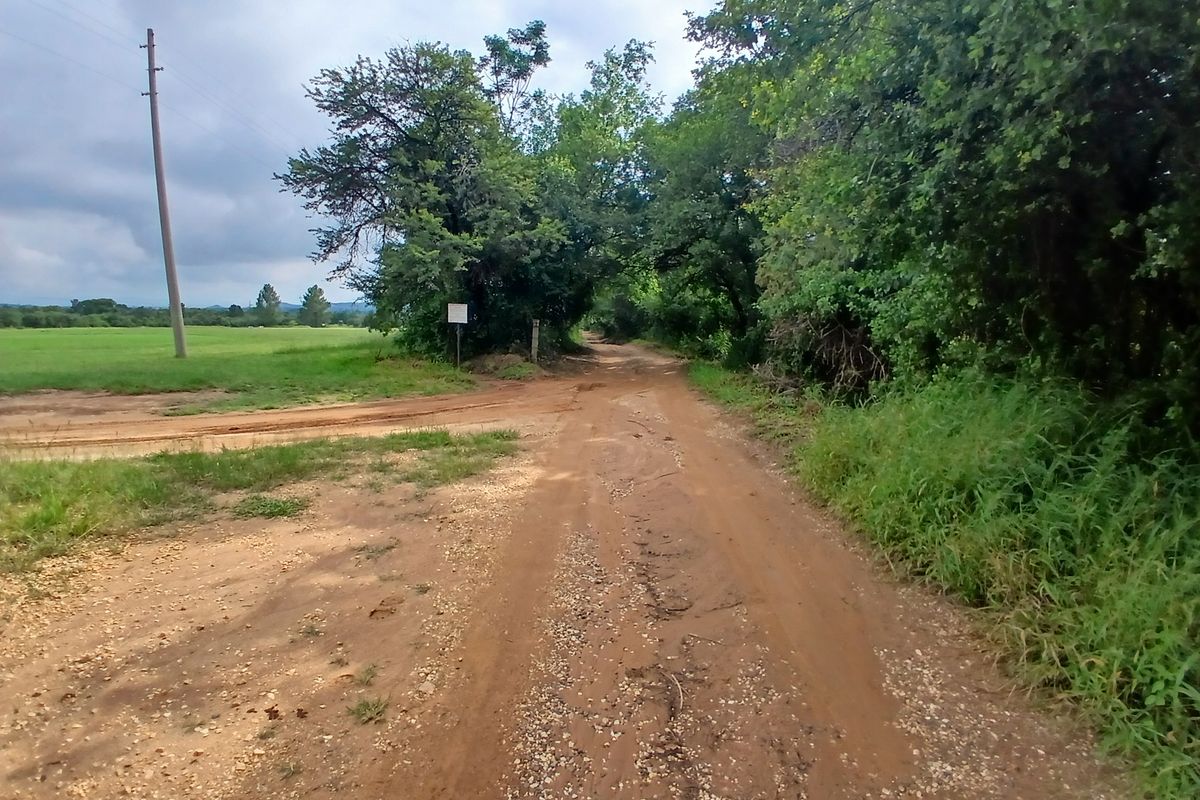 A view of a rural dirt access road leading through the farm property, flanked by trees and open fields.