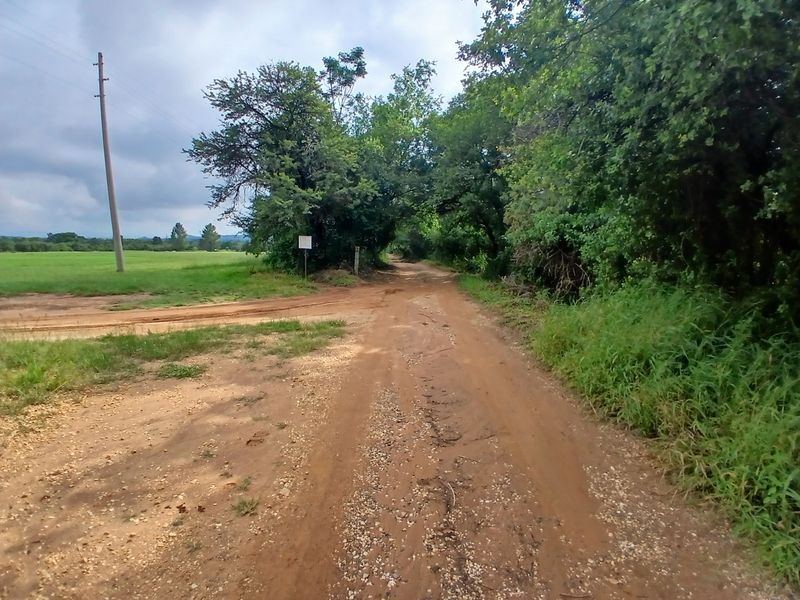 A view of a rural dirt access road leading through the farm property, flanked by trees and open fields.