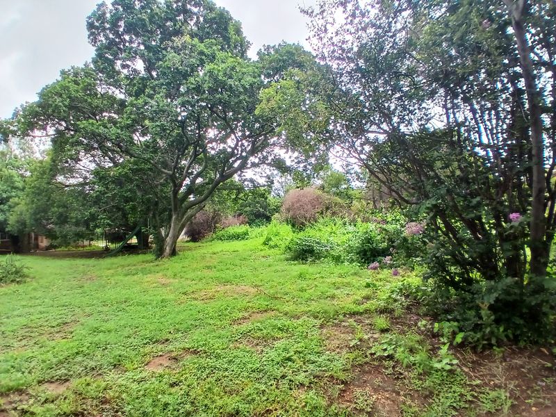 A spacious, natural garden area featuring mature trees and established lawn, offering a peaceful outdoor setting on the farm property.
