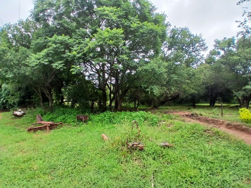 A natural, wooded garden area featuring mature trees, a grass lawn, and a dirt pathway on the farm property.