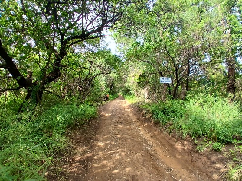 A dirt access road leading through a wooded area on the farm property, featuring dense surrounding vegetation and a signage post.