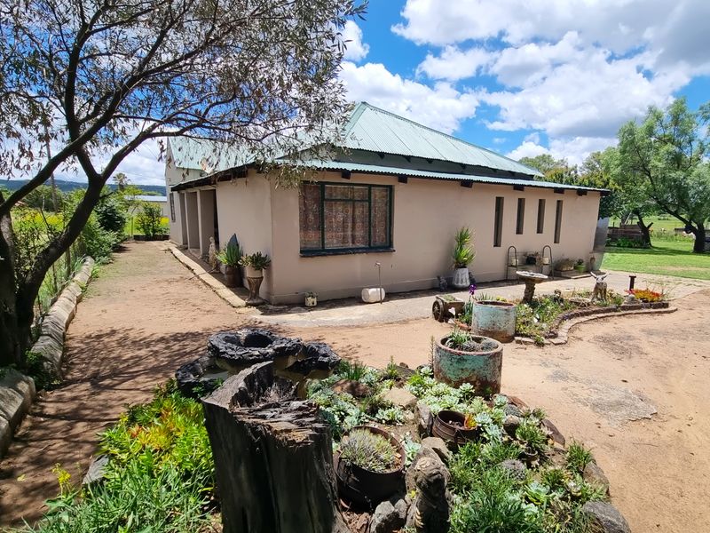 Rear view of a single-story house featuring a corrugated metal roof, plastered exterior walls, and a surrounding garden area with concrete paving.