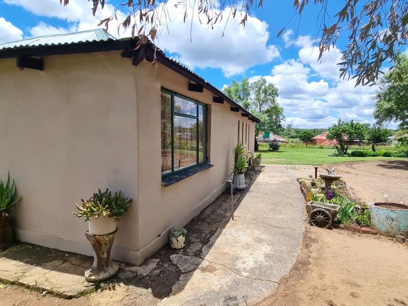 Rear exterior view of the property featuring a concrete pathway, corrugated metal roofing, and established garden beds along the building perimeter.